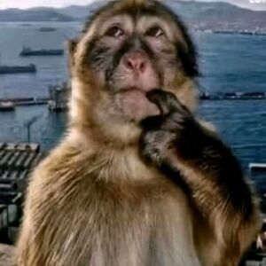 Meet your Posher, Connor